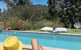 Bulles D'Olive Provence - Piscine & Jacuzzi Avec Vue